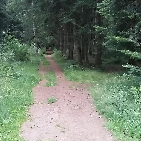 Belle Vue Apartament Gelles Zewnętrze zdjęcie