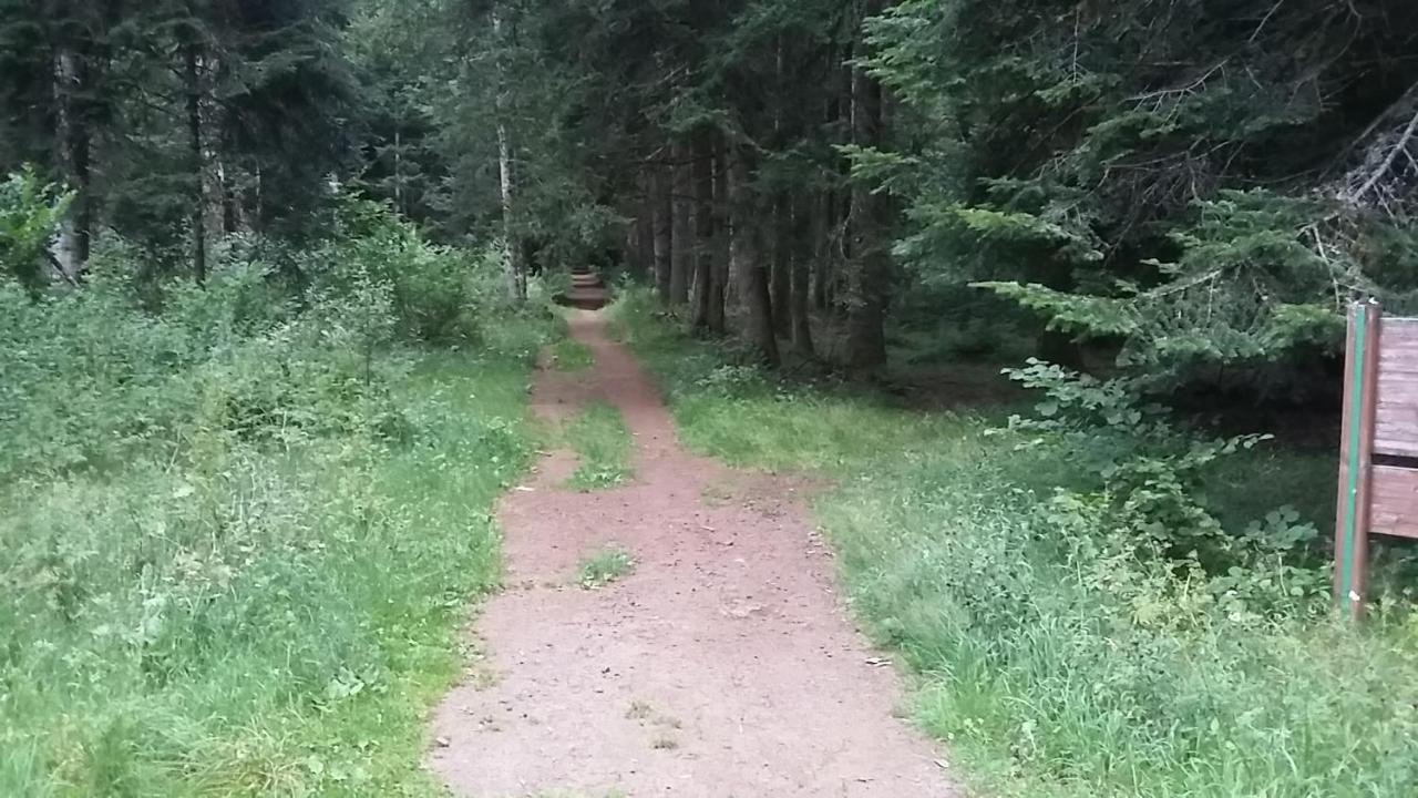 Belle Vue Apartament Gelles Zewnętrze zdjęcie